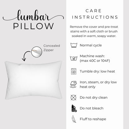 care instructions for a lumbar pillow, including steps to clean and maintain the pillow.
