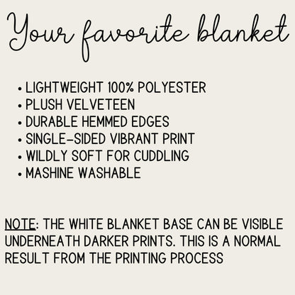 Armenian Sacred Scene Plush Velveteen Blanket – Diaspora Heritage Gift