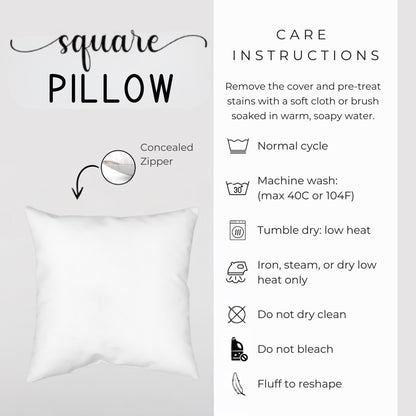 Armenian White & Blue Alphabet Pillow Cover – Diaspora Heritage Gift